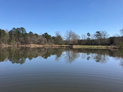 Land for Sale - Craig Springs Rd, Sturgis, MS 39769 - image 33