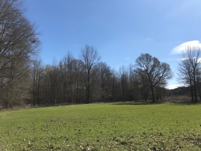 Land for Sale - Craig Springs Rd, Sturgis, MS 39769 - image 25