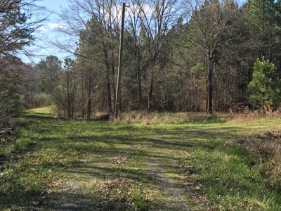 Land for Sale - Craig Springs Rd, Sturgis, MS 39769 - image 4
