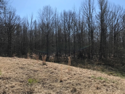 Land for Sale - Craig Springs Rd, Sturgis, MS 39769 - image 37