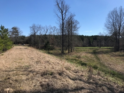 Land for Sale - Craig Springs Rd, Sturgis, MS 39769 - image 38