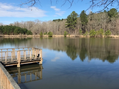 Land for Sale - Craig Springs Rd, Sturgis, MS 39769 - image 12