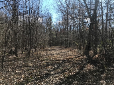 Land for Sale - Craig Springs Rd, Sturgis, MS 39769 - image 30
