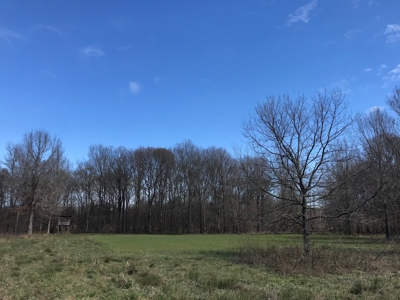 Land for Sale - Craig Springs Rd, Sturgis, MS 39769 - image 29