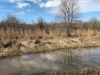 Land for Sale - Craig Springs Rd, Sturgis, MS 39769 - image 19