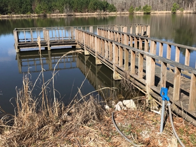 Land for Sale - Craig Springs Rd, Sturgis, MS 39769 - image 10