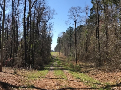 Land for Sale - Craig Springs Rd, Sturgis, MS 39769 - image 1