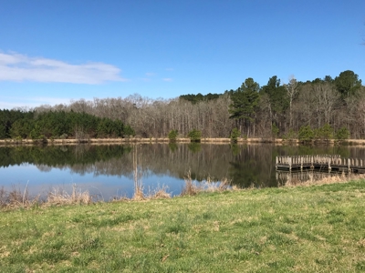Land for Sale - Craig Springs Rd, Sturgis, MS 39769 - image 8