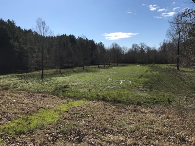Land for Sale - Craig Springs Rd, Sturgis, MS 39769 - image 13