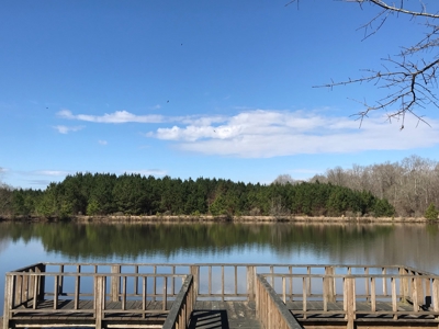 Land for Sale - Craig Springs Rd, Sturgis, MS 39769 - image 11