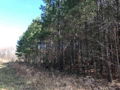 Land for Sale - Craig Springs Rd, Sturgis, MS 39769 - image 28