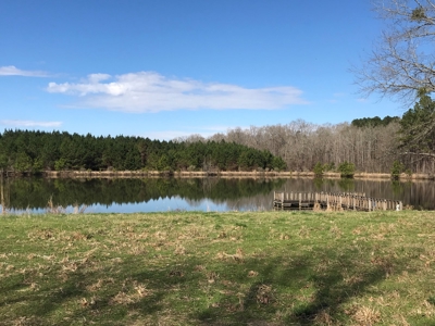 Land for Sale - Craig Springs Rd, Sturgis, MS 39769 - image 7