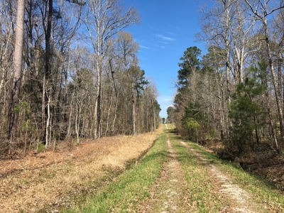 Land for Sale - Craig Springs Rd, Sturgis, MS 39769 - image 39