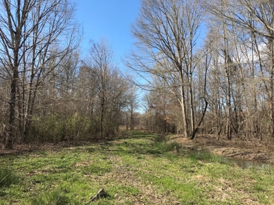 Land for Sale - Craig Springs Rd, Sturgis, MS 39769 - image 16