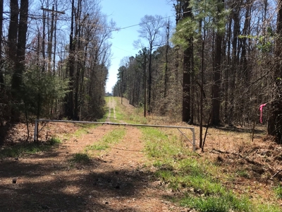 Land for Sale - Craig Springs Rd, Sturgis, MS 39769 - image 40