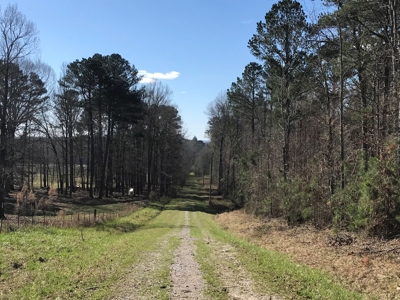 Land for Sale - Craig Springs Rd, Sturgis, MS 39769 - image 2
