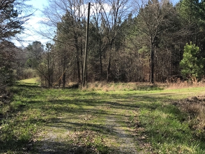 Land for Sale - Craig Springs Rd, Sturgis, MS 39769 - image 3