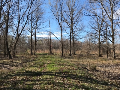 Land for Sale - Craig Springs Rd, Sturgis, MS 39769 - image 18