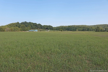 Missouri Ozarks,  Castor River Farm: - image 14