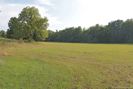 Missouri Ozarks,  Castor River Farm: - image 12
