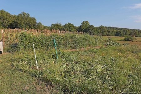 Missouri Ozarks,  Castor River Farm: - image 21
