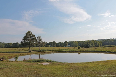Missouri Ozarks,  Castor River Farm: - image 20