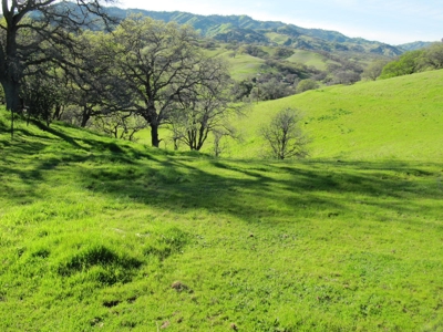 Orchards in Yolo County, Northern California For Sale - image 30