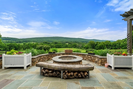 Luxury Country Estate For Sale in Middleburg, VA - image 40