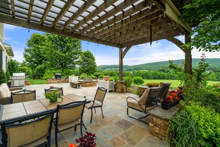 Luxury Country Estate For Sale in Middleburg, VA - image 41