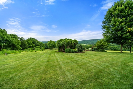 Luxury Country Estate For Sale in Middleburg, VA - image 43