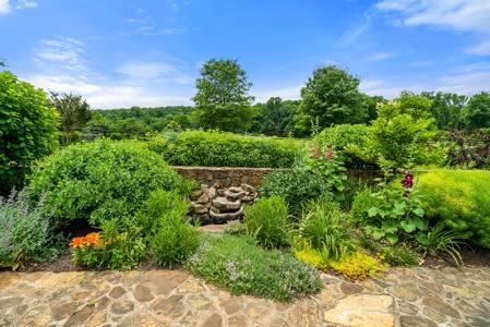 Luxury Country Estate For Sale in Middleburg, VA - image 34