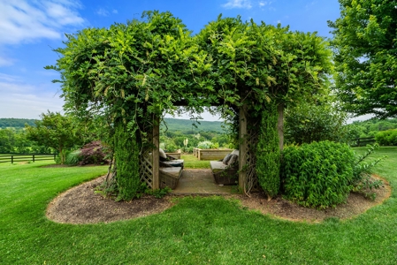 Luxury Country Estate For Sale in Middleburg, VA - image 37