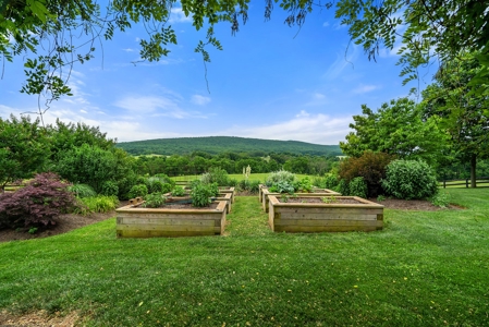 Luxury Country Estate For Sale in Middleburg, VA - image 38