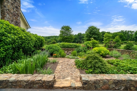 Luxury Country Estate For Sale in Middleburg, VA - image 33