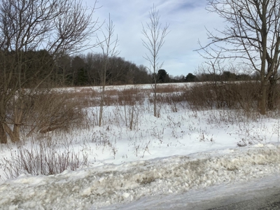 Productive Farmland Tillable, Timber, Boarders State Land - image 5