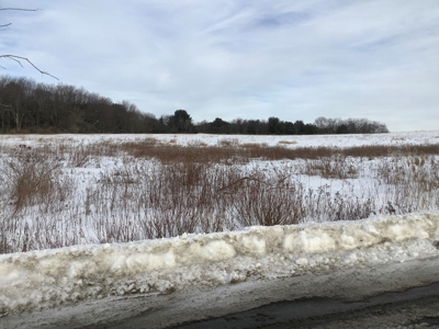 Productive Farmland Tillable, Timber, Boarders State Land - image 6