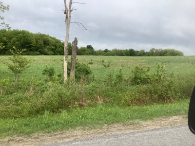 Productive Farmland Tillable, Timber, Boarders State Land - image 16