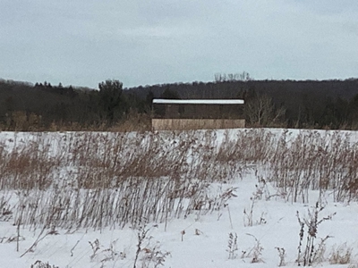 Productive Farmland Tillable, Timber, Boarders State Land - image 7