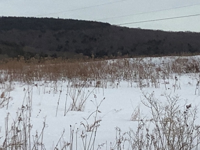Productive Farmland Tillable, Timber, Boarders State Land - image 8