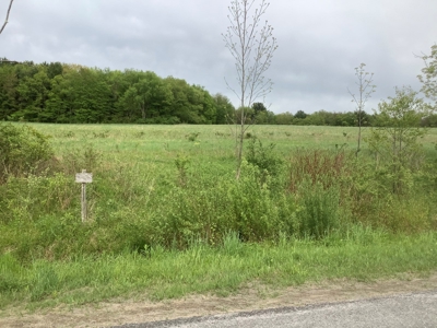 Productive Farmland Tillable, Timber, Boarders State Land - image 15