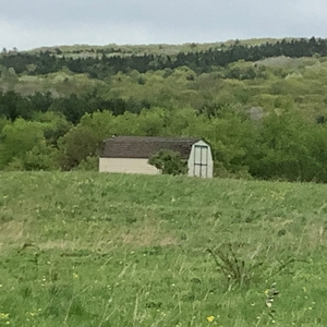 Productive Farmland Tillable, Timber, Boarders State Land - image 20