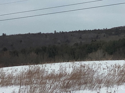Productive Farmland Tillable, Timber, Boarders State Land - image 10