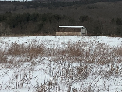 Productive Farmland Tillable, Timber, Boarders State Land - image 1