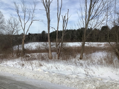 Productive Farmland Tillable, Timber, Boarders State Land - image 3