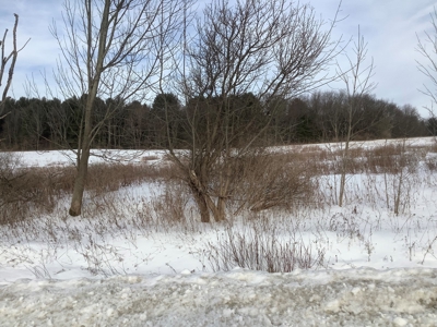 Productive Farmland Tillable, Timber, Boarders State Land - image 4