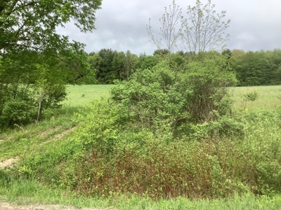 Productive Farmland Tillable, Timber, Boarders State Land - image 13