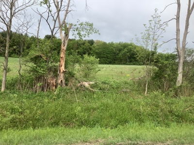 Productive Farmland Tillable, Timber, Boarders State Land - image 14
