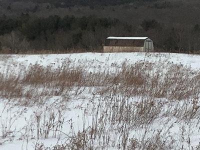Productive Farmland Tillable, Timber, Boarders State Land - image 9