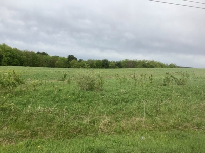 Productive Farmland Tillable, Timber, Boarders State Land - image 17