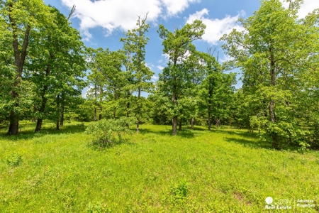 15.07 Pristine Mountain Acres - image 33